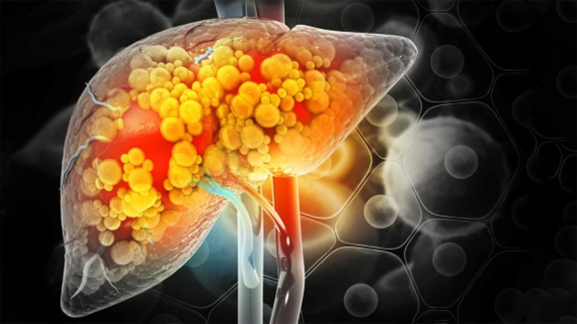 లైఫ్ స్టైల్