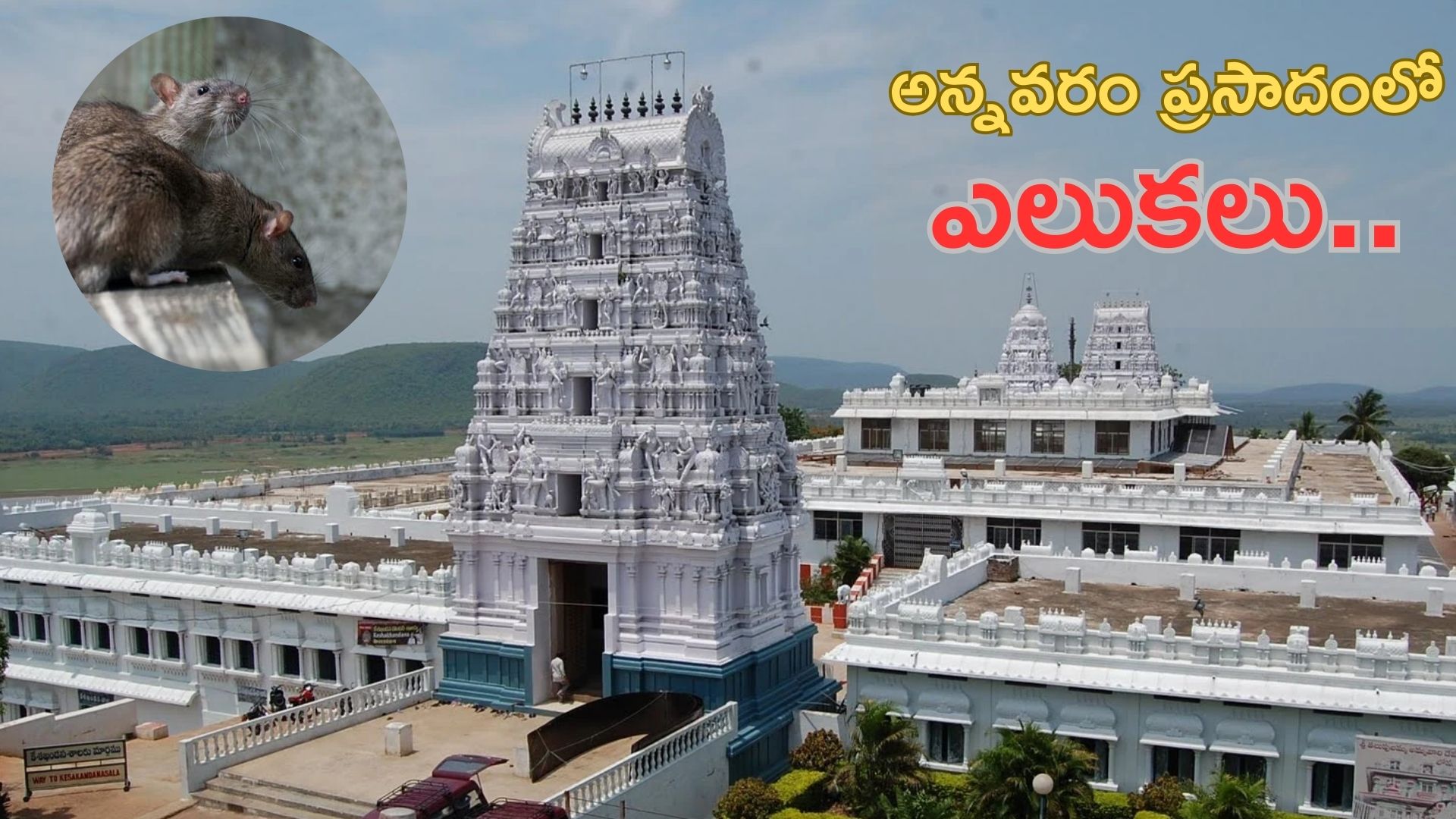 Annavaram: అన్నవరం ప్రసాద విక్రయ కేంద్రంలో ఎలుకలు.. ఇద్దరు సిబ్బంది సస్పెండ్
