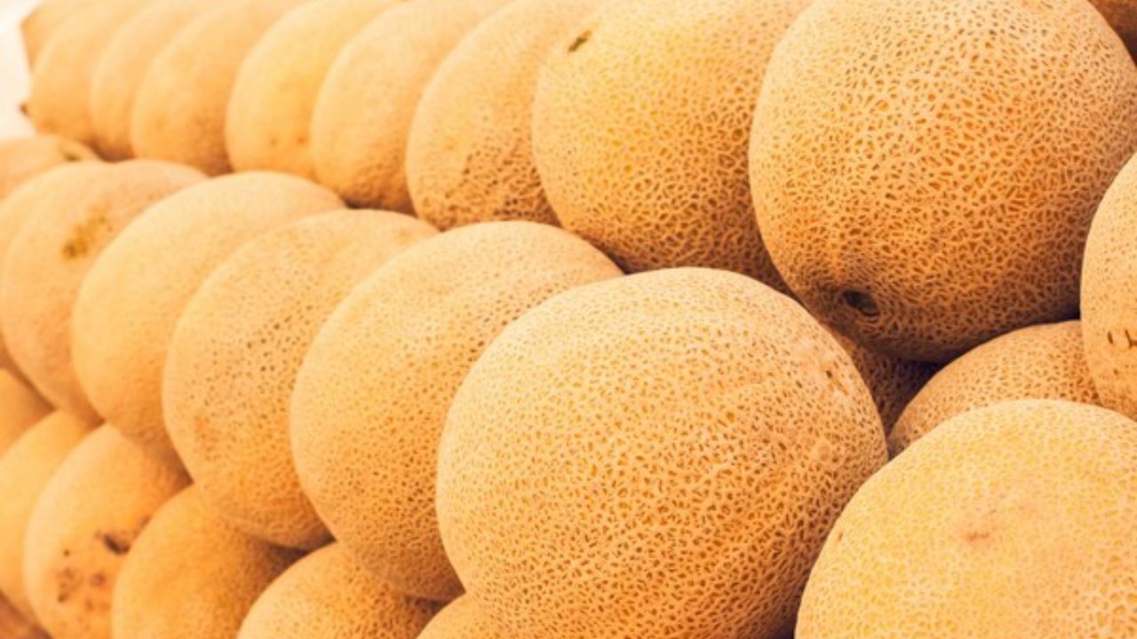 Benefits of watermelon:కర్బూజ పండు తింటే బెనిఫిట్స్ ఇవే..