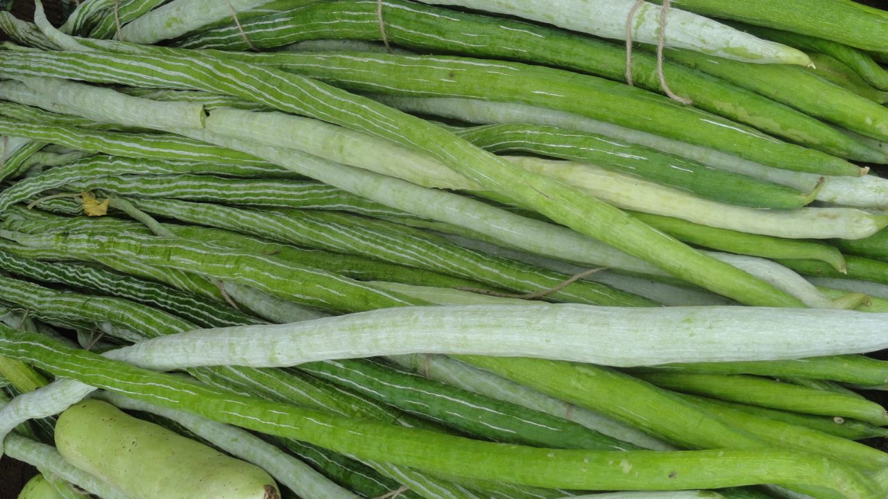 Snake Gourd Benefits:పొట్లకాయ తింటే ఎన్ని ప్రయోజనాలు ఉన్నాయో మీకు తెలుసా?