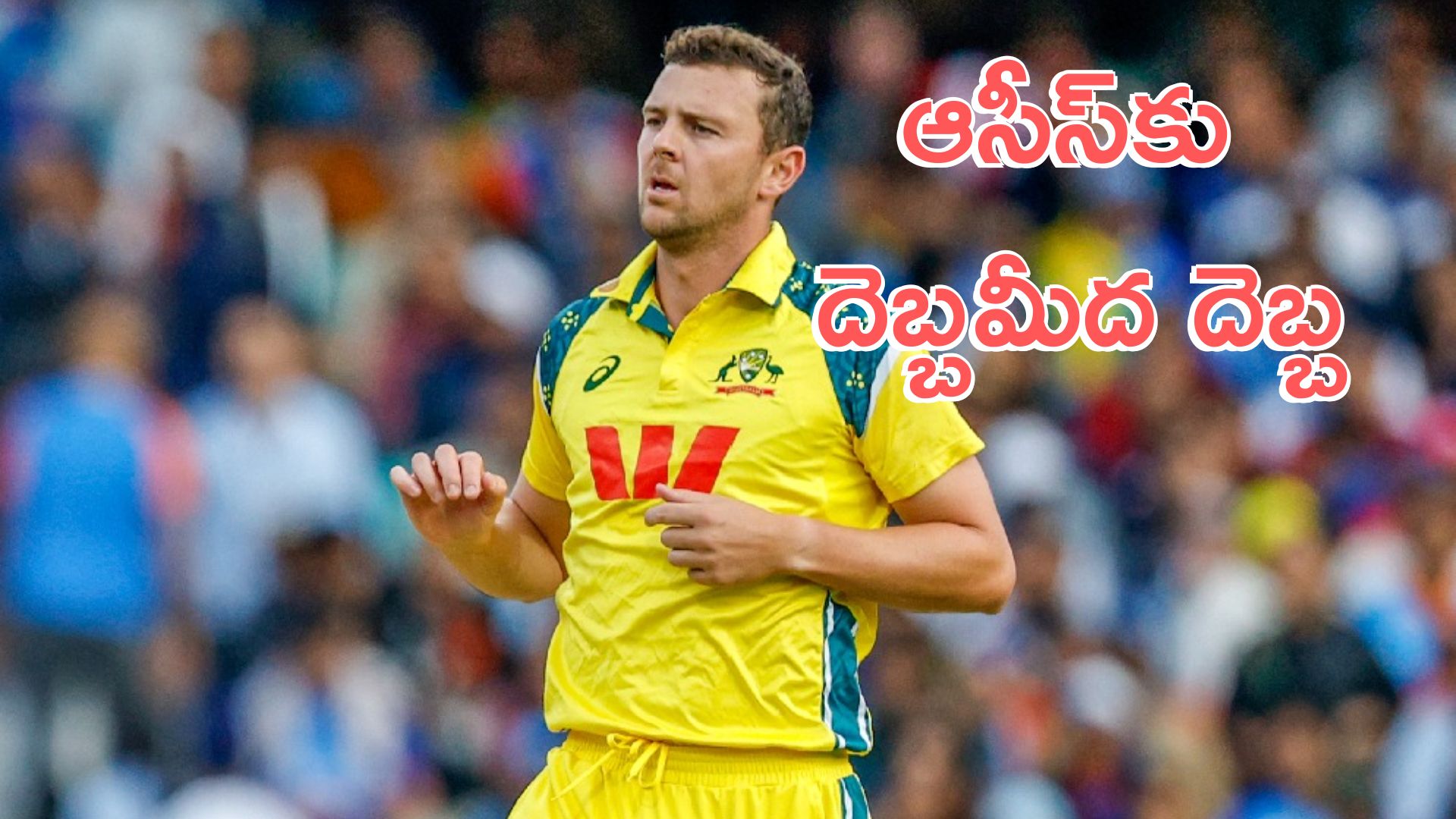 T20 World Cup 2026: ఆసీస్కు ఎదురుదెబ్బ.. టీ20 వరల్డ్ కప్కు హేజిల్వుడ్ దూరం