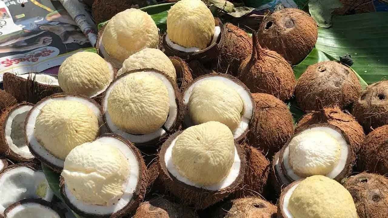 healthy food: కొబ్బరి పువ్వుతో కోరినన్ని లాభాలున్నాయ్!
