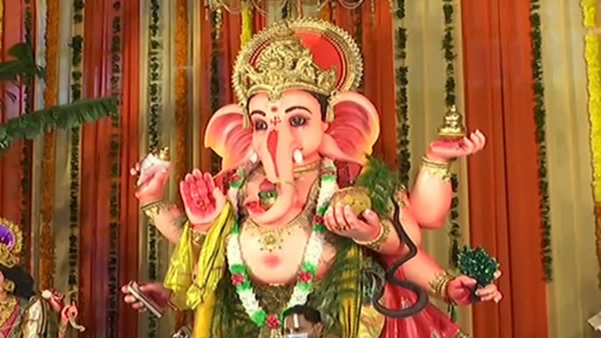 వినాయక చవితి సందర్భంగా జాగ్రత్తలు