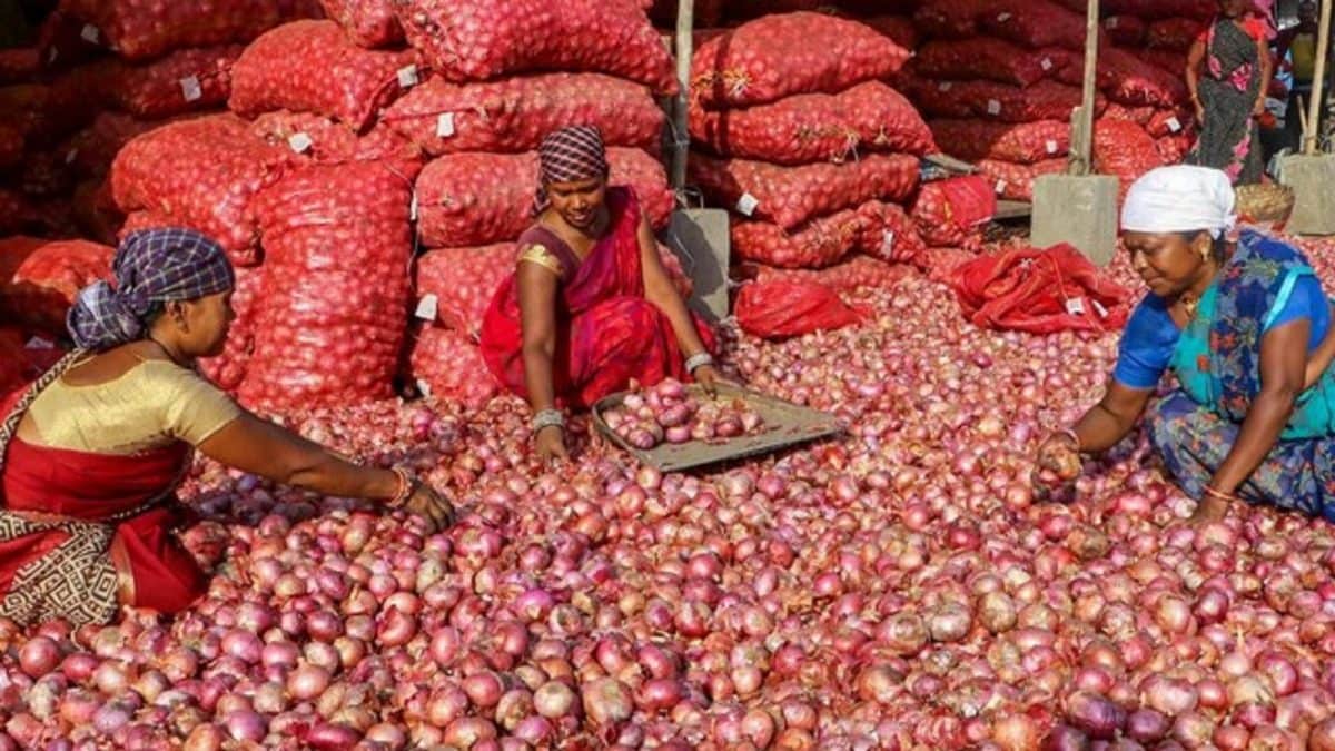 ఆగస్టు 2026లో WPI ద్రవ్యోల్బణం 9.92%కి పెరిగింది