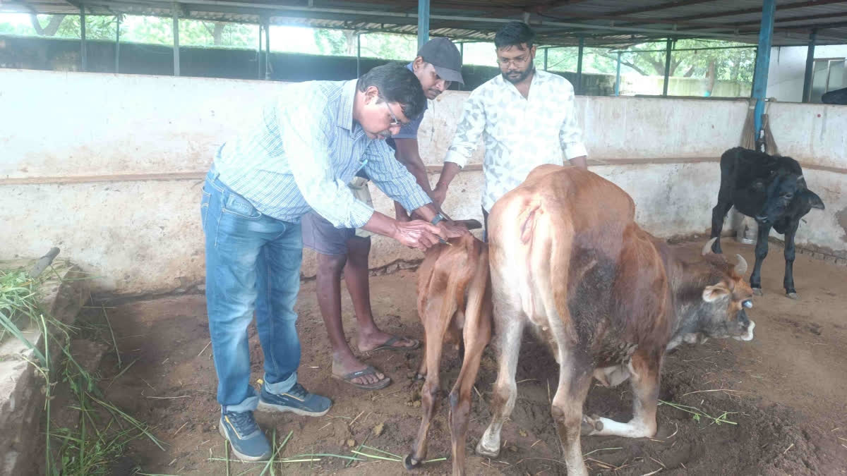 మూగజీవాల సేవకే జీవితాన్ని అంకితం చేసిన రియల్ హీరోలు