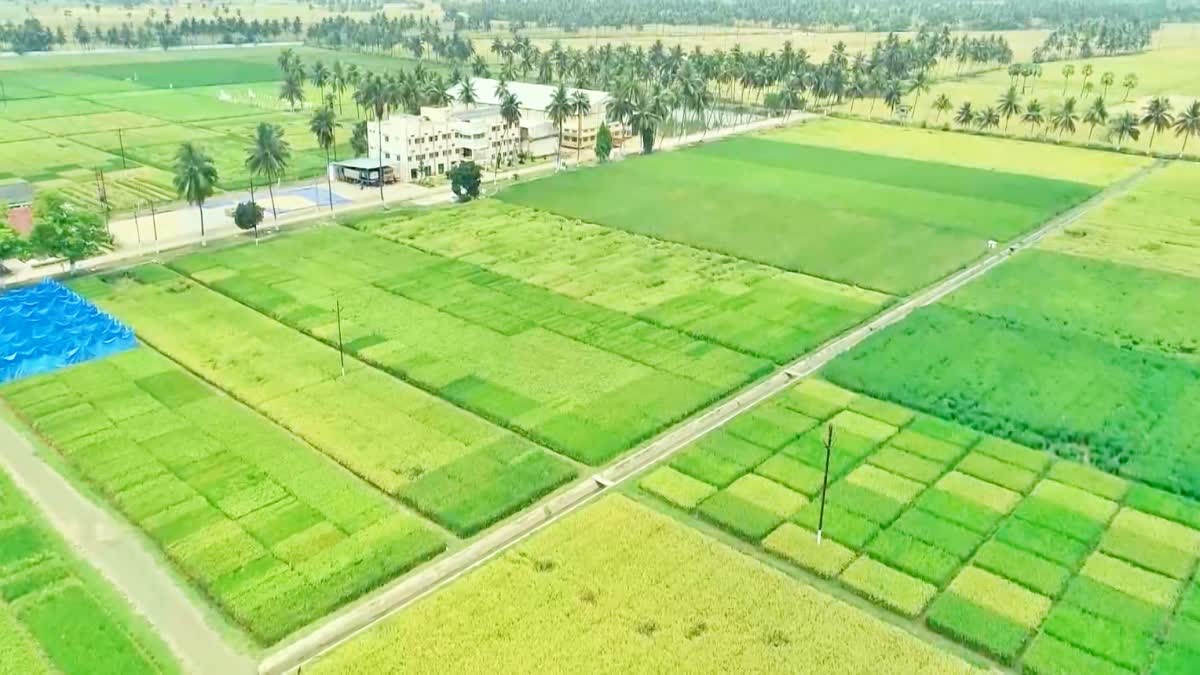 22ఏ భూముల పరిశీలనకు మరో కమిటీ ఏర్పాటు
