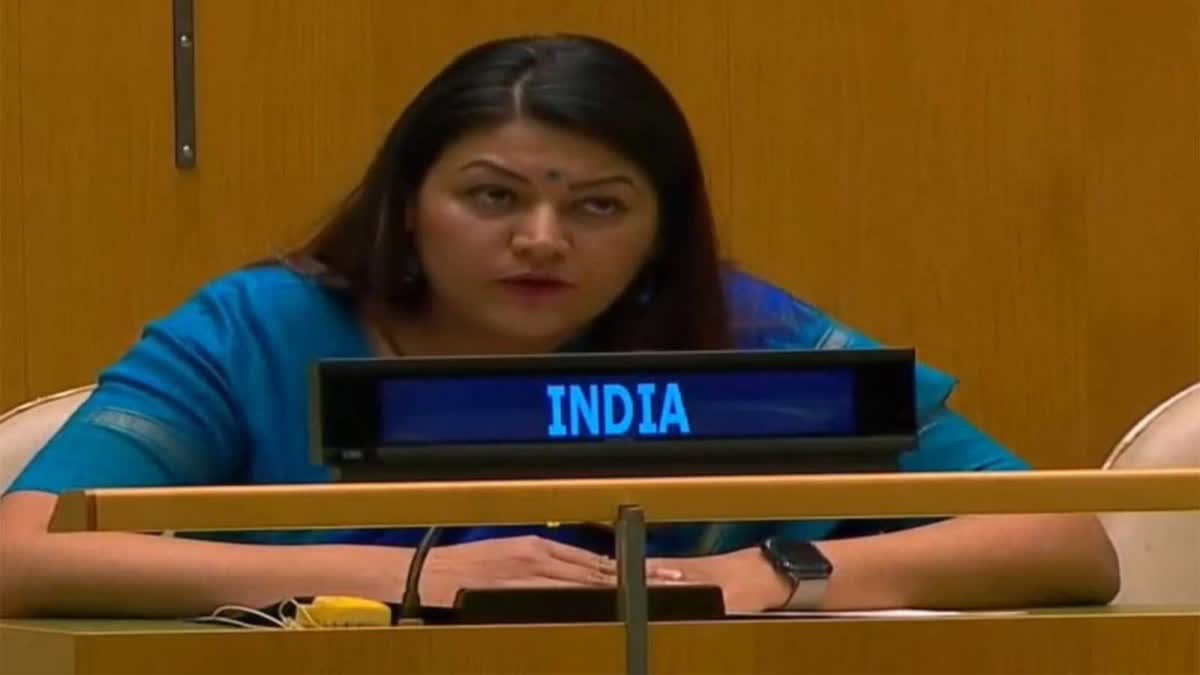 పాక్‌ది కపట బోధన- ఉగ్రవాదానికి మూల్యం తప్పదు- యూఎన్‌లో షరీఫ్ ప్రసంగంపై భారత్ స్ట్రాంగ్ కౌంటర్​