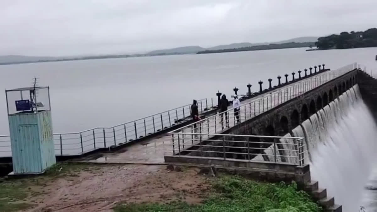 ప్రాజెక్టు నిండుగా - పంటలు ఎండగా! : 'పోచారం' చివరి ఆయకట్టుకు నీరేది?
