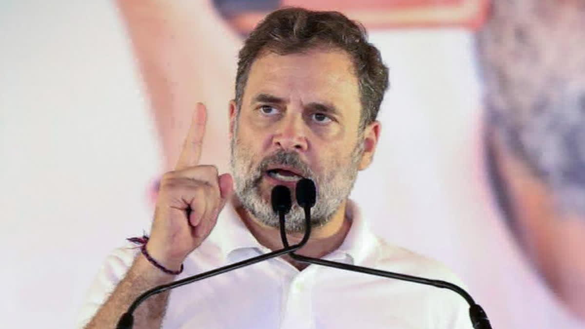 అల్లకల్లోలంగా సముద్రం- అప్పుడే స్విమ్మింగ్ చేయడం నాకిష్టం: రాహుల్​ గాంధీ