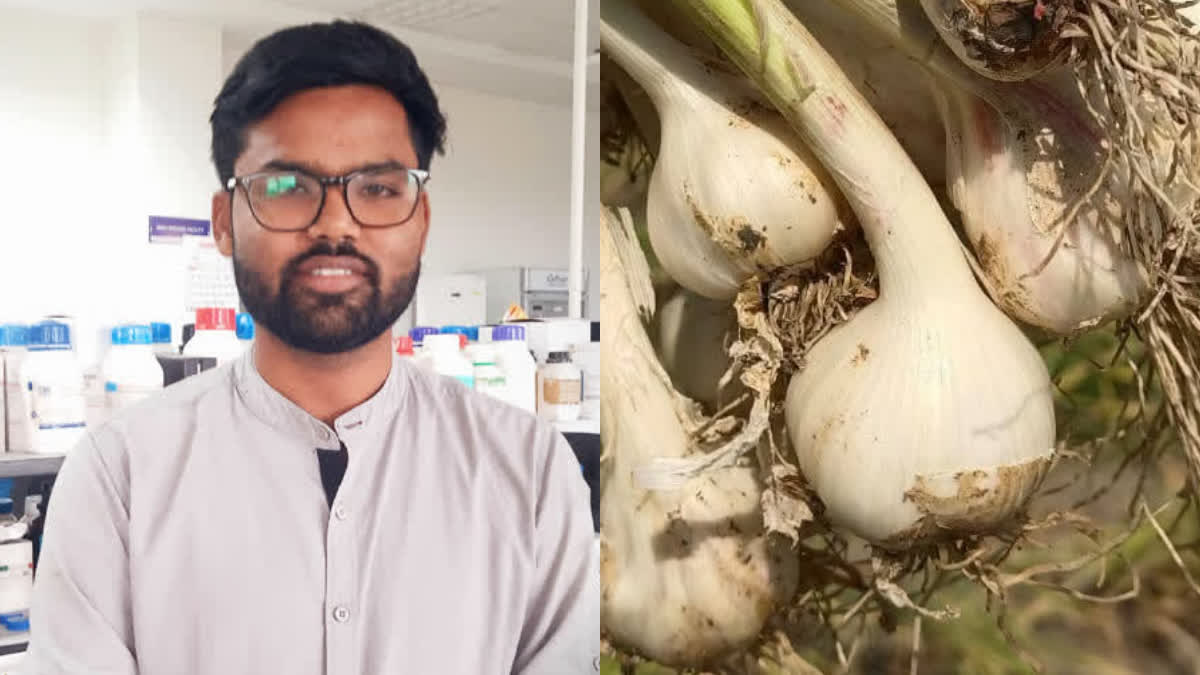 వెల్లుల్లితో బ్రెస్ట్ క్యాన్సర్‌కు చెక్? కొత్త కాంపౌండ్ గుర్తింపు- యూకే పేటెంట్‌కు సన్నాహాలు