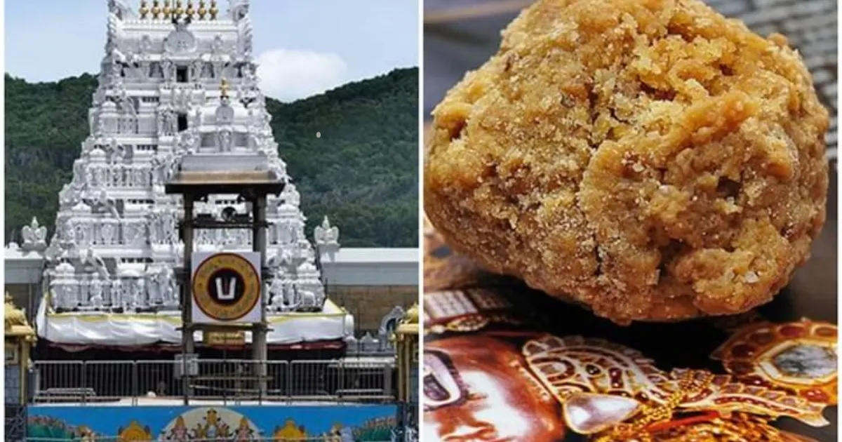 తిరుమల లడ్డూ కల్తీ కేసులో ఈడీ కలకలం.. సుకృతి ఫుడ్స్ ప్రమోటర్ అరెస్ట్.. రూ.230 కోట్ల మనీలాండరింగ్‌పై ఫోకస్!