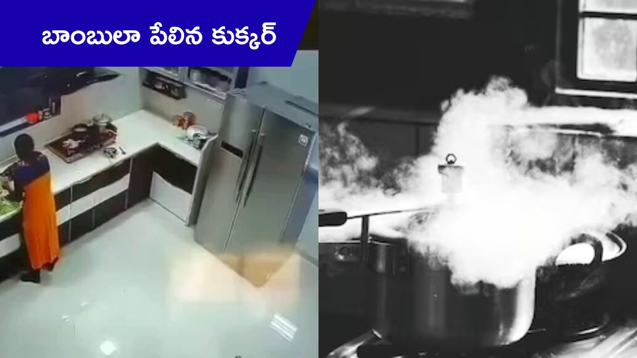 Pressure cooker: ప్రెజర్ కుక్కర్‌తో జాగ్రత్త.. ఎక్కువ కాలం వాడితే అంతే!