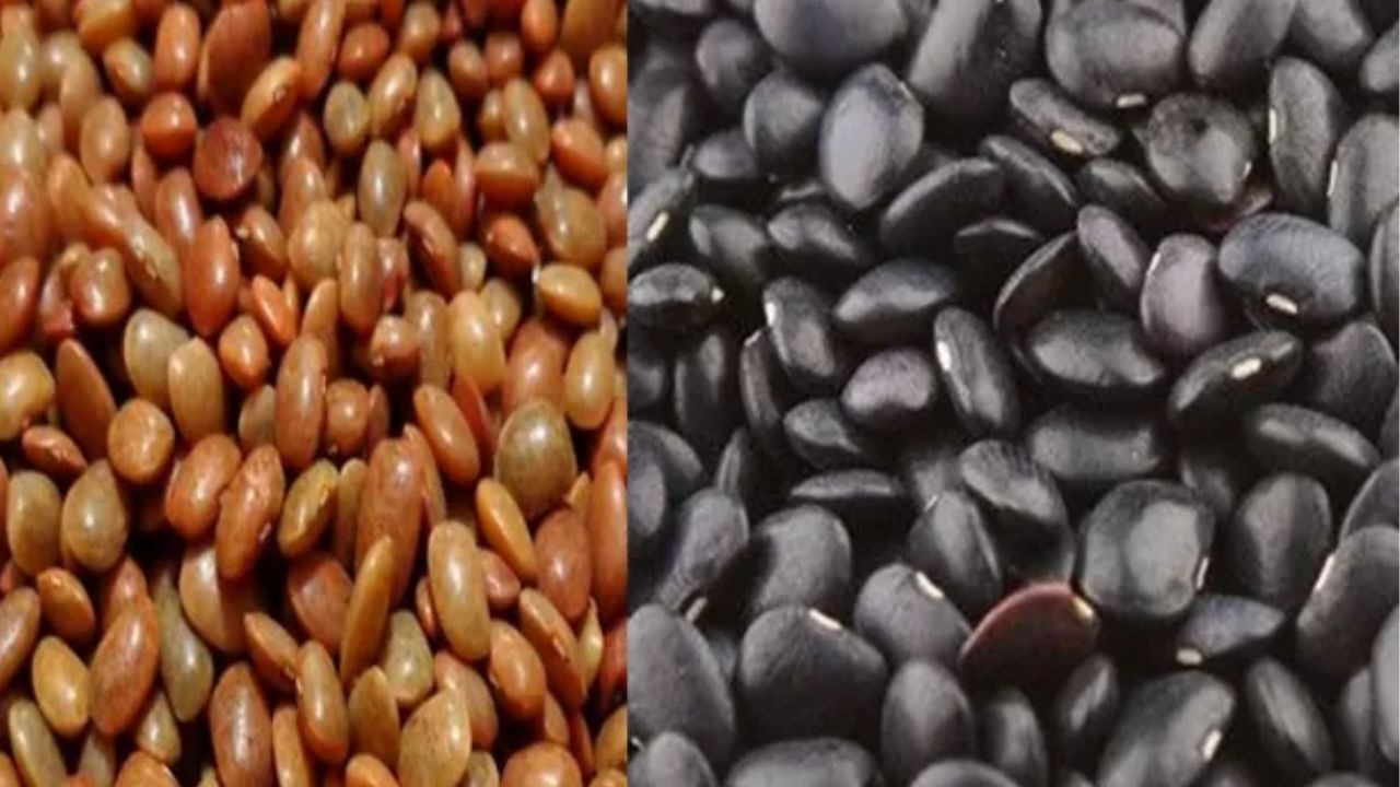 ఉలువల్లో అధికంగా ఫైబర్, ప్రోటీన్ ఉంటాయి