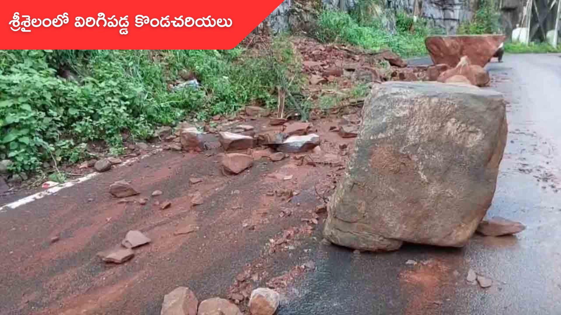 Srisailam: శ్రీశైలం ఘాట్రోడ్డులో తప్పిన ప్రమాదం.. భారీ వర్షానికి విరిగిపడిన కొండచరియలు
