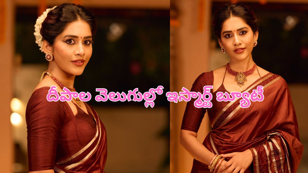 Nabha Natesh: దీపాల వెలుగుల్లో ఇస్మార్ట్ బ్యూటీ.. చీరకట్టులో అందమైన నభా నటేష్..