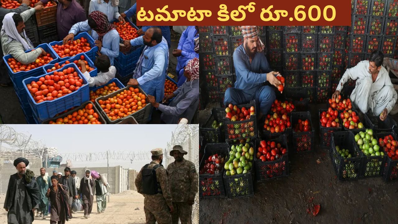 Prices increased  in Pakistan: టమాటా కిలో రూ.600, క్యాప్సికం రూ.300..  ఎక్కడో తెలుసా ?