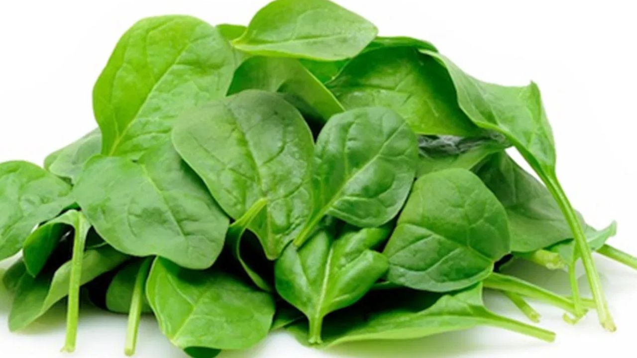 Lettuce: పాలకూరతో ఆరోగ్య ప్రయోజనాలు.. డయాబెటిస్ ఉన్నవారు తినొచ్చా ?