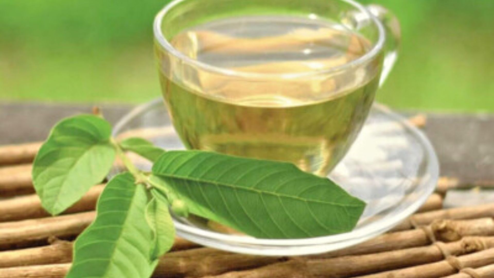 Guava Leaves: జామాకులతో టీ చేసి తాగితే కొలెస్ట్రాల్ తగ్గడమే కాదు, మరెన్నో లాభాలు..!