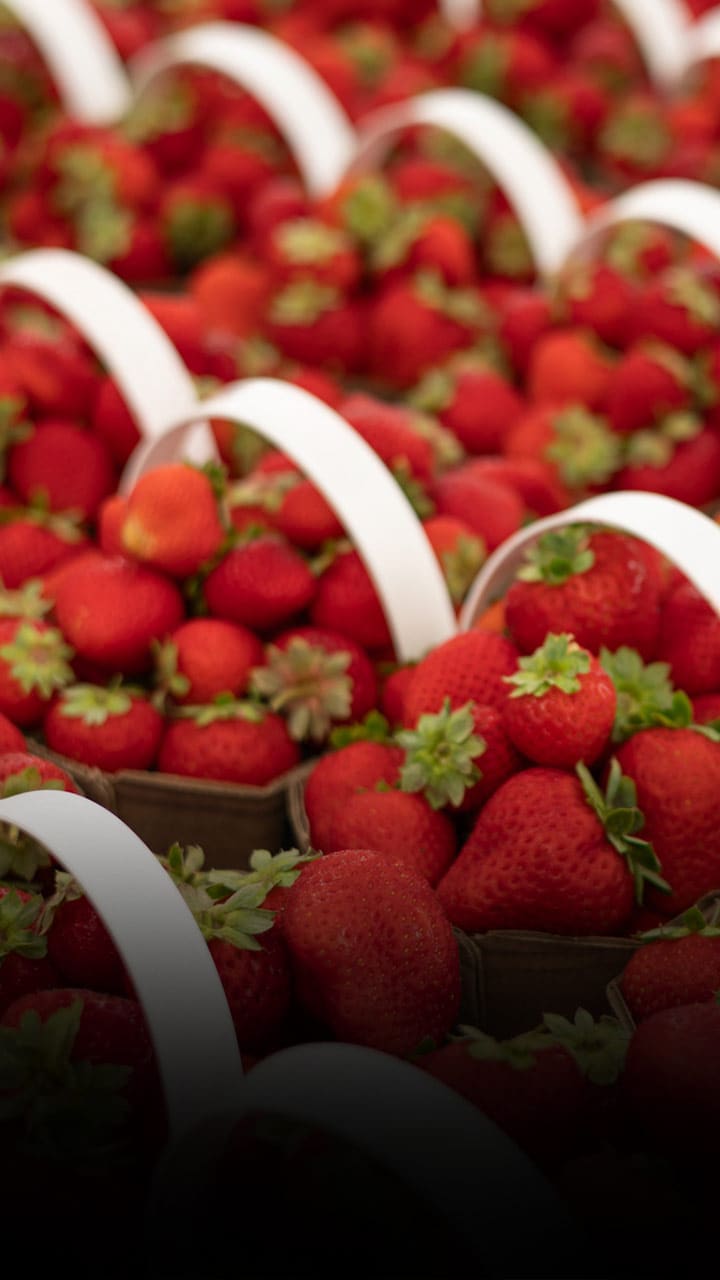 స్ట్రాబెర్రీ తింటే ఎన్ని లాభాలో..! తెలిస్తే ఎగిరి గంతేస్తారు