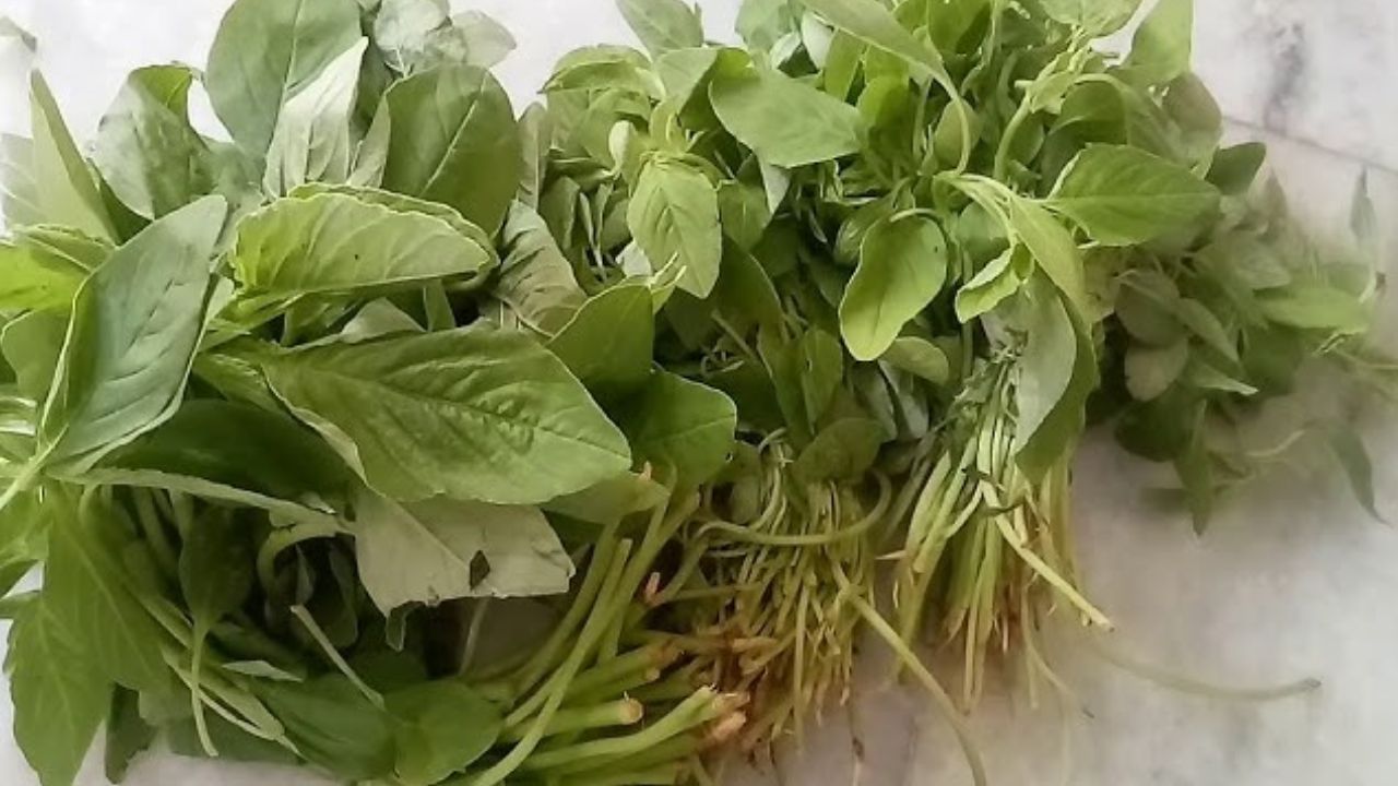 ఇందులో విటమిన్ ఎ, సి, కె ఉంటాయి. రోగనిరోధక శక్తిని పెంచుతుంది. 