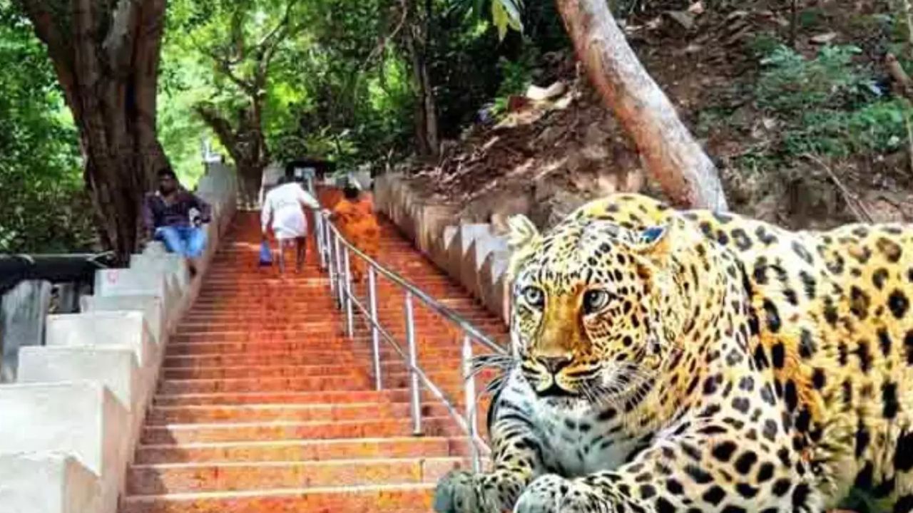 Cheetah Hullchal: తిరుపతిలో చిరుత హల్‌చల్