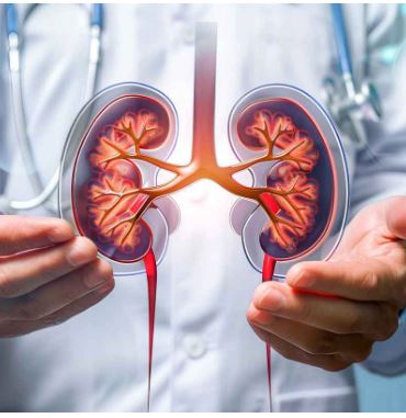 కిడ్నీలను నాశనానికి యమపాశాలు.. లైట్ తీసుకున్నారో అంతే..! 