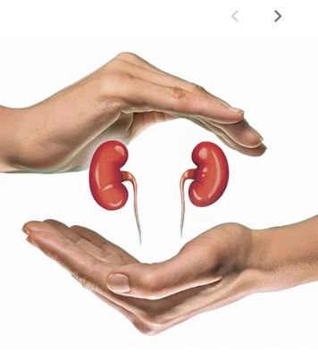 ప్రస్తుత రోజుల్లో మారుతున్న జీవన విధానం, ఆహారపు అలవాట్లు  ఆవయవాల పనితీరును నాశనం చేస్తున్నాయి. 