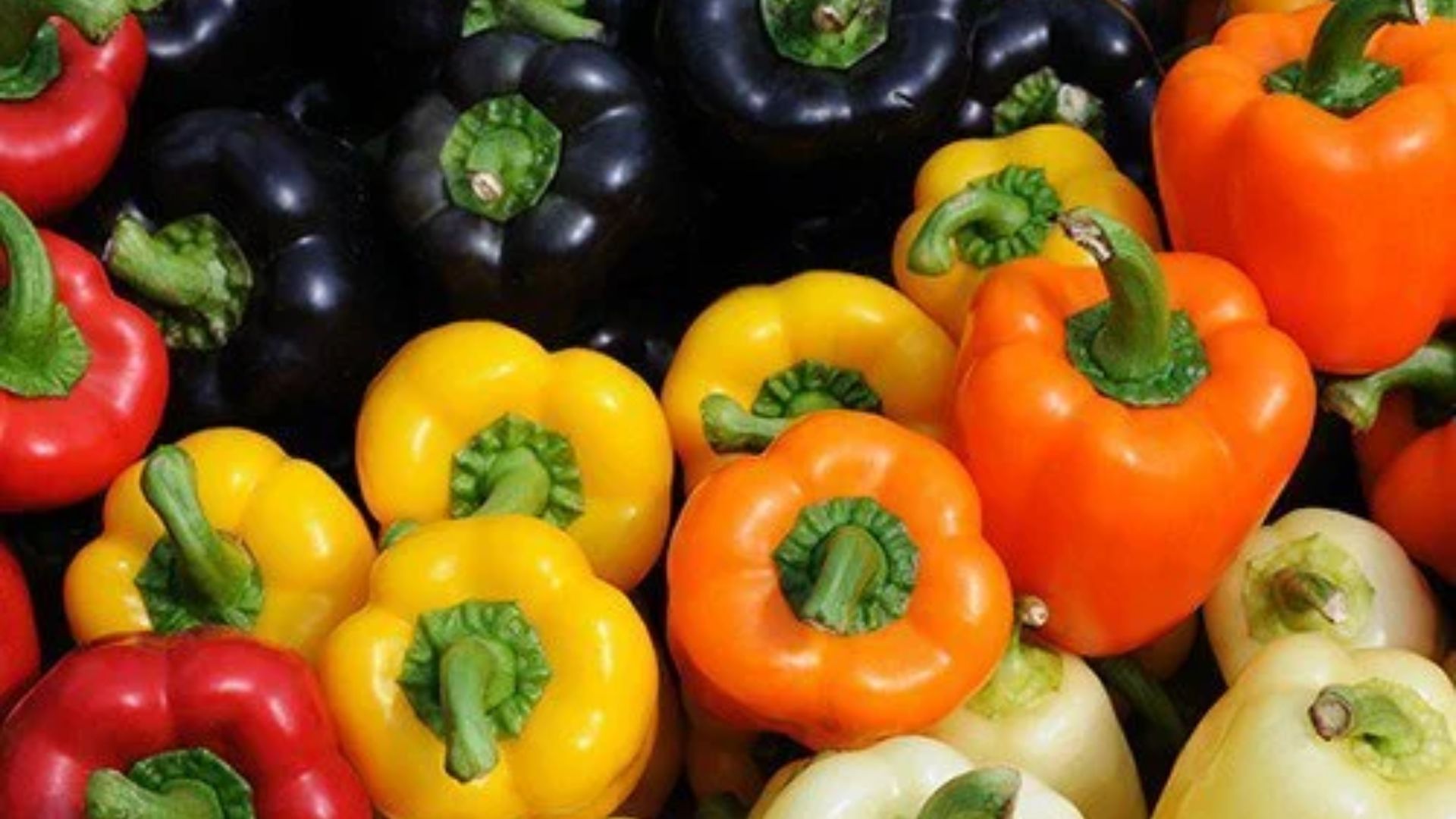 కాప్సికమ్‌లో నీరు, ఫైబర్ పుష్కలంగా ఉంటాయి. 