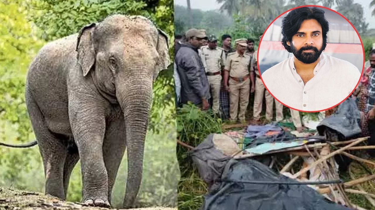 Chittoor: చిత్తూరు జిల్లాలో విషాదం.. ఏనుగుల దాడిలో రైతు మృతి