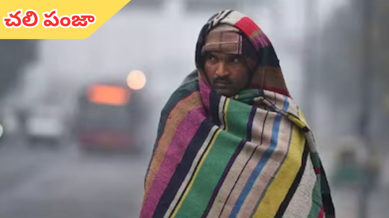 Cold Wave: తెలంగాణలో చలి పంజా.. వరుసగా 4వ రోజు పడిపోయిన ఉష్ణోగ్రతలు