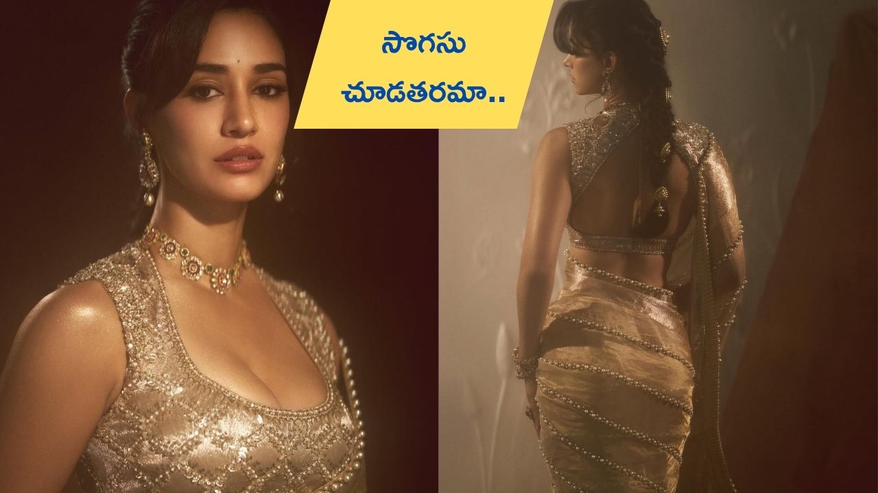 Disha Patani : గోల్డ్ శారీలో సొగసులు ఒలకపోసిన దిశా పటాని