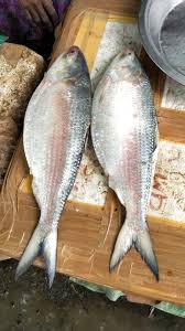 చేపలు తినడం వల్ల అనేక  ఆరోగ్య ప్రయోజనాలు