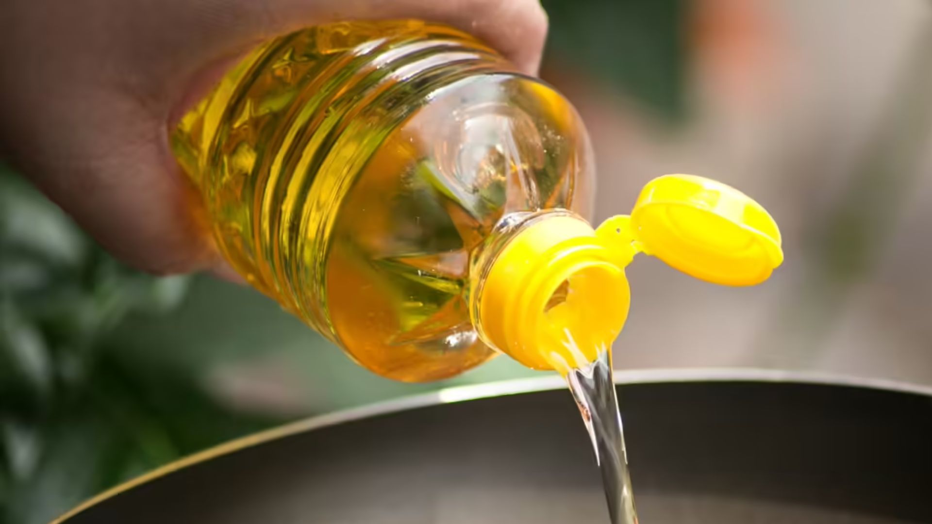 లైఫ్ స్టైల్