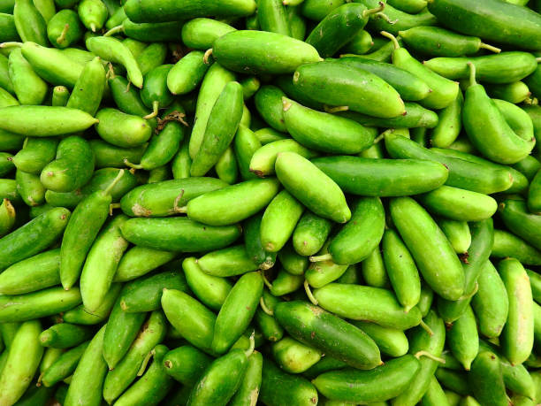 దొండకాయ తినడం వల్ల రక్తంలో చక్కెర స్థాయిలు వేగంగా పెరగకుండా నిరోధిస్తుంది.