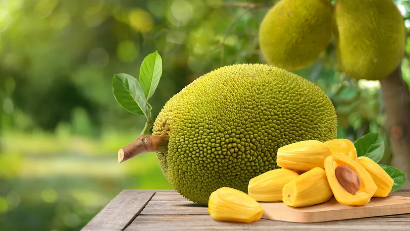 JACKFRUIT: పనస పండుతో ఆరోగ్యప్రయోజనాలు