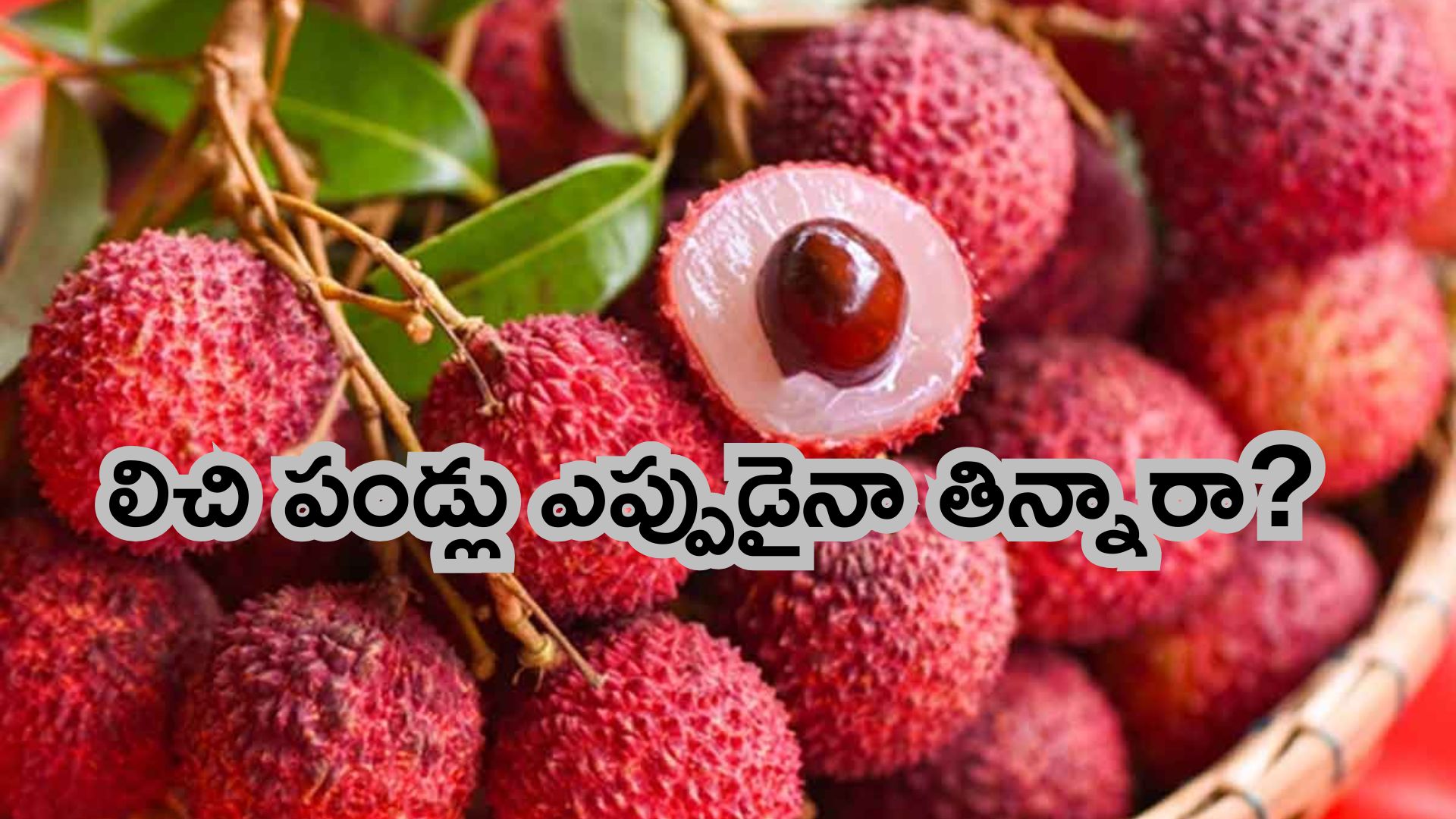 లైఫ్ స్టైల్