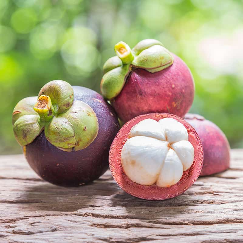  Mangosteen Fruit: మాంగోస్టీన్ పండ్లతో లాభాలు!