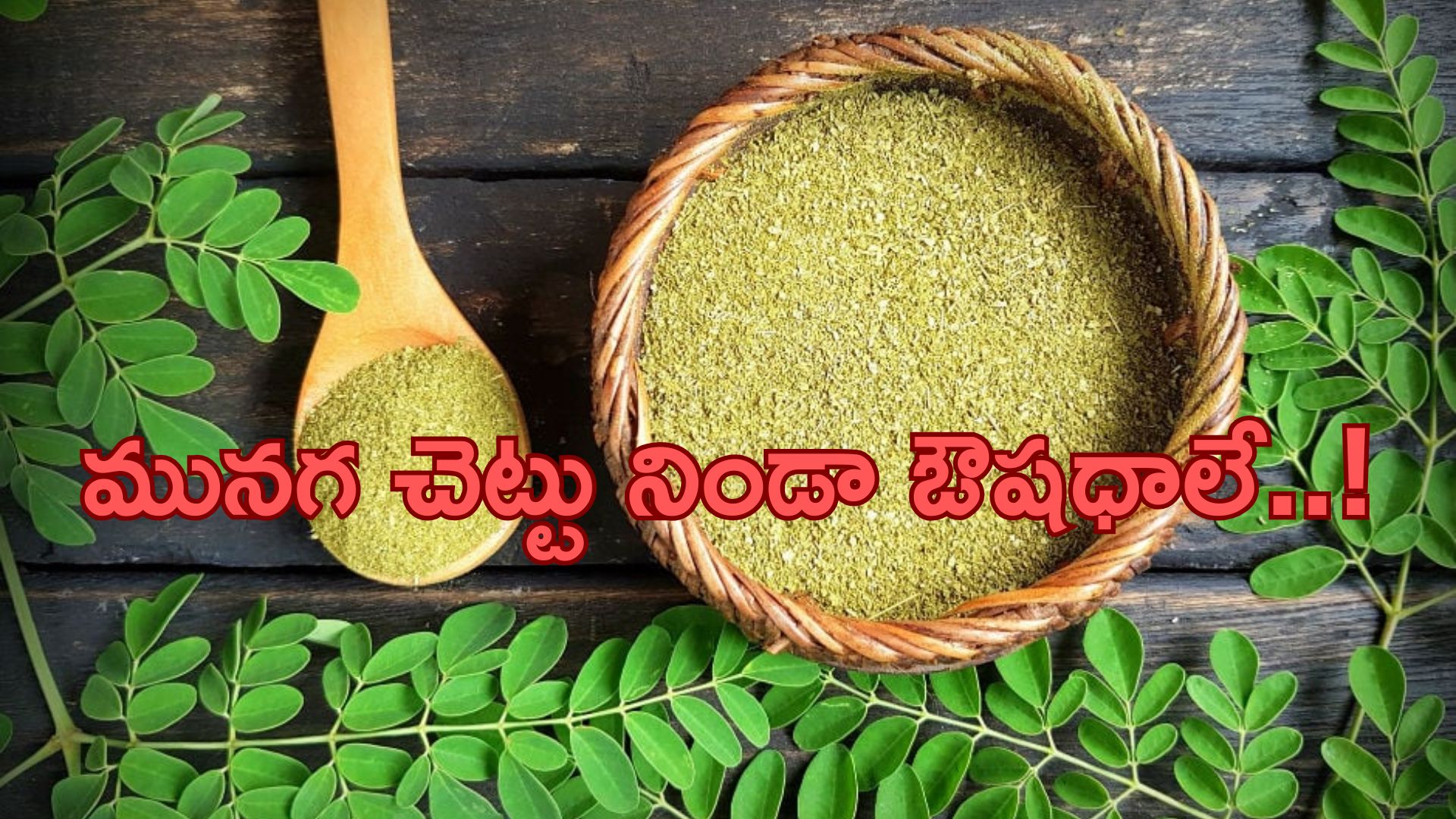 Moringa: మునగ ఆకుల నుండి వేళ్ల వరకు చెట్టు నిండా ఔషధాలే..!