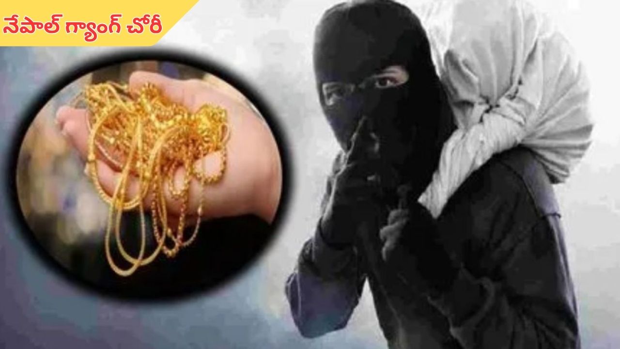 Nepal Gang: హైదరాబాద్లో రెచ్చిపోయిన నేపాల్ గ్యాంగ్.. ఏకంగా రిటైర్డ్ కల్నల్ ఇంటిలో చోరీ