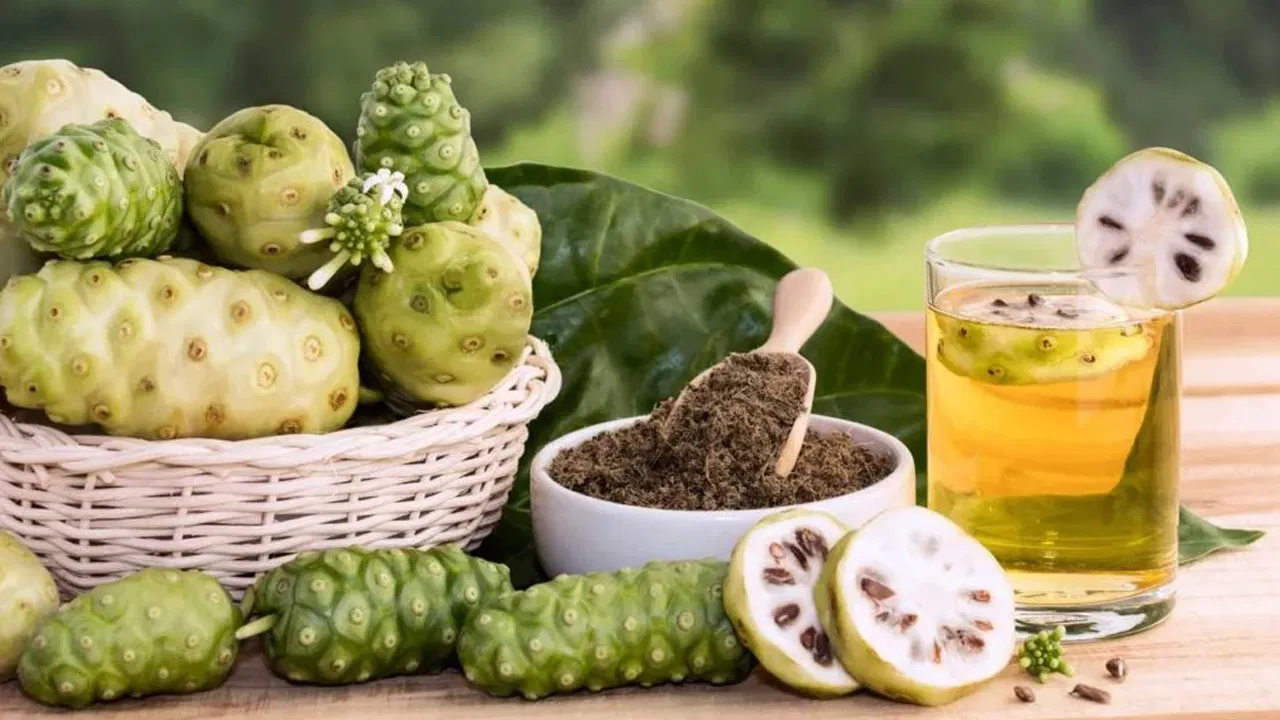 Noni Fruits: నోని ఫ్రూట్‌ ఆరోగ్య ప్రయోజనాలు