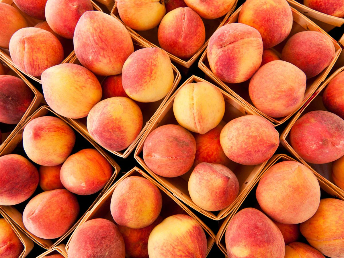 Peach Fruit Benefits: పీచు పండుతో ఆరోగ్య ప్రయోజనాలు..