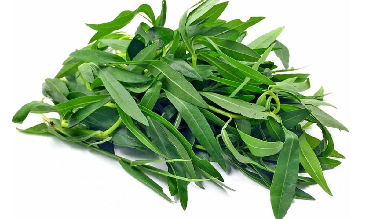 పొన్నగంటి కూర కంటి చూపును మెరుగుపరుస్తుంది