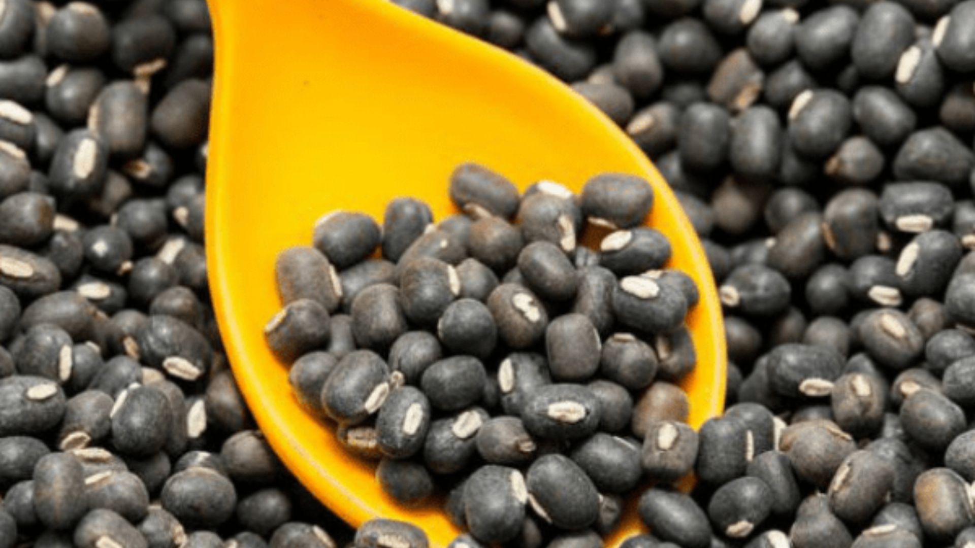 Pottu Minapappu: పొట్టు మినపప్పు తింటే బోలెడు బెనిఫిట్స్