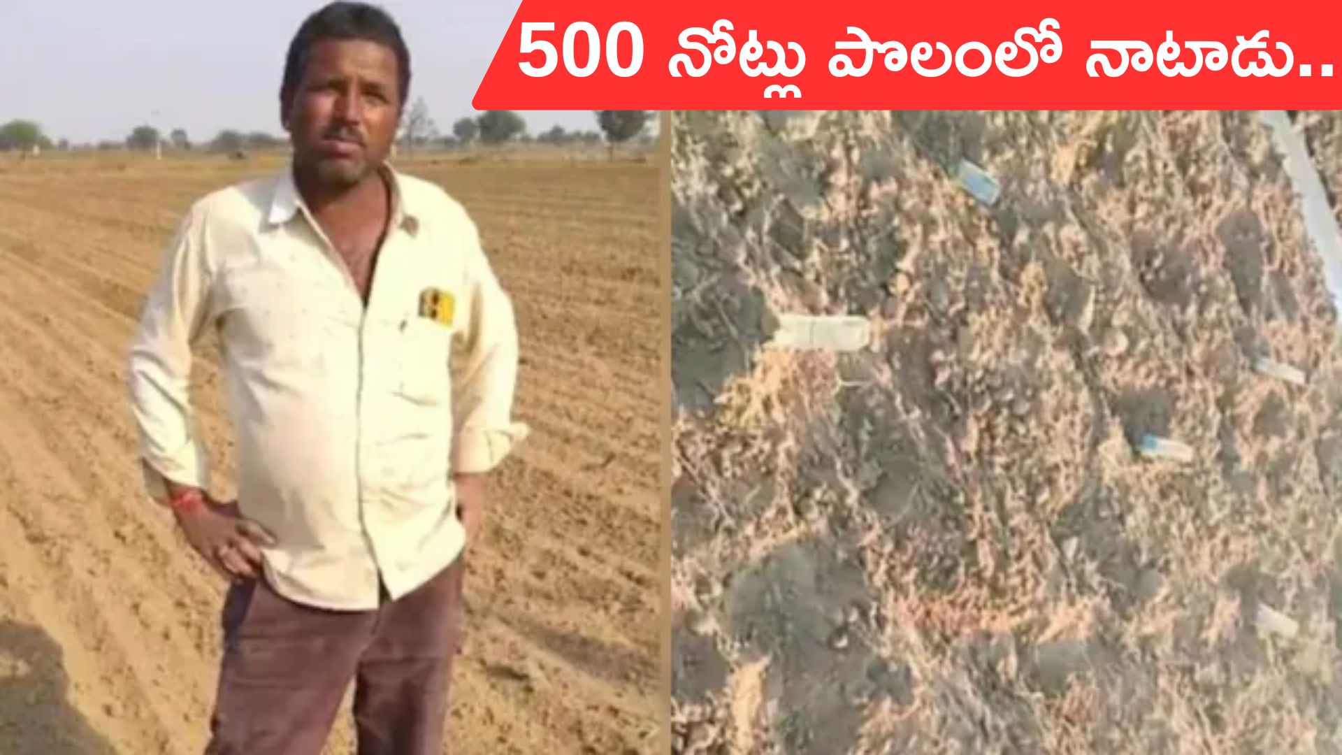 Rajasthan: పొలంలో రూ.500 నోట్లు నాటాడు..  ఎందుకిలా చేశాడంటే ?