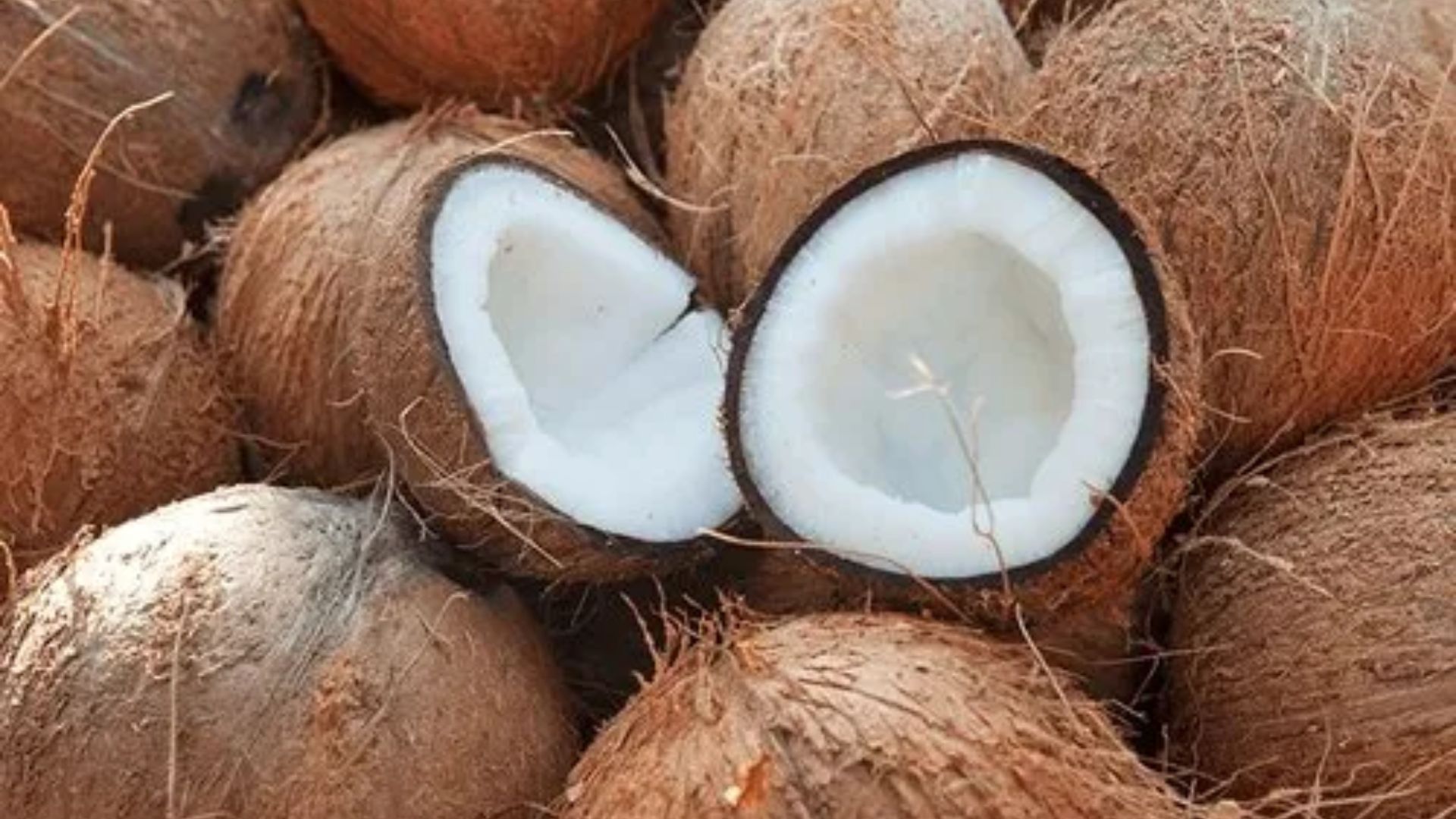 Raw Coconut Benefits: పచ్చి కొబ్బరి తింటే ఎన్నో ఆరోగ్య ప్రయోజనాలు..!
