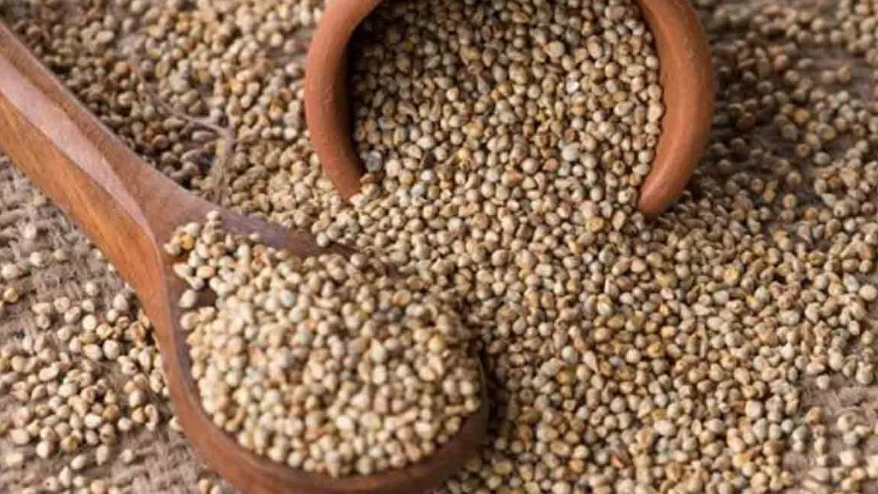 సజ్జల్లోని ఫైబర్ జీర్ణక్రియను మెరుగుపరచి, 
మలబద్ధకాన్ని నివారిస్తుంది