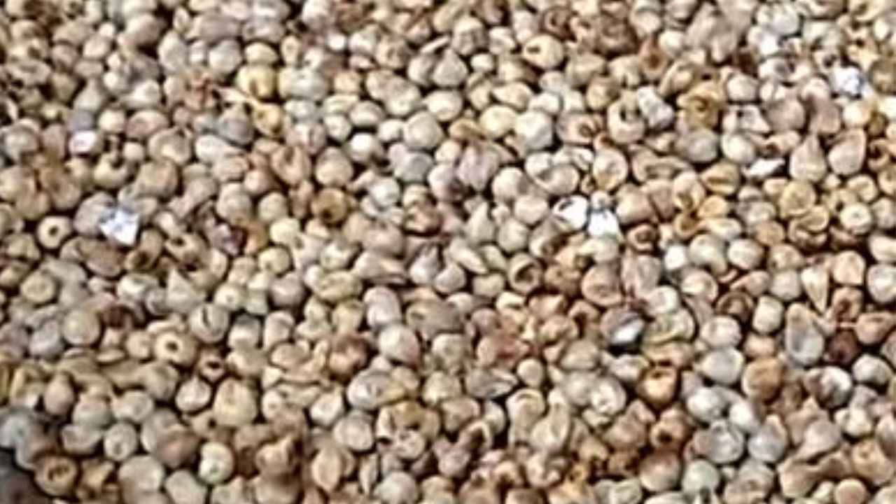 Sajjalu benefits: సజ్జల ప్రయోజనాలు