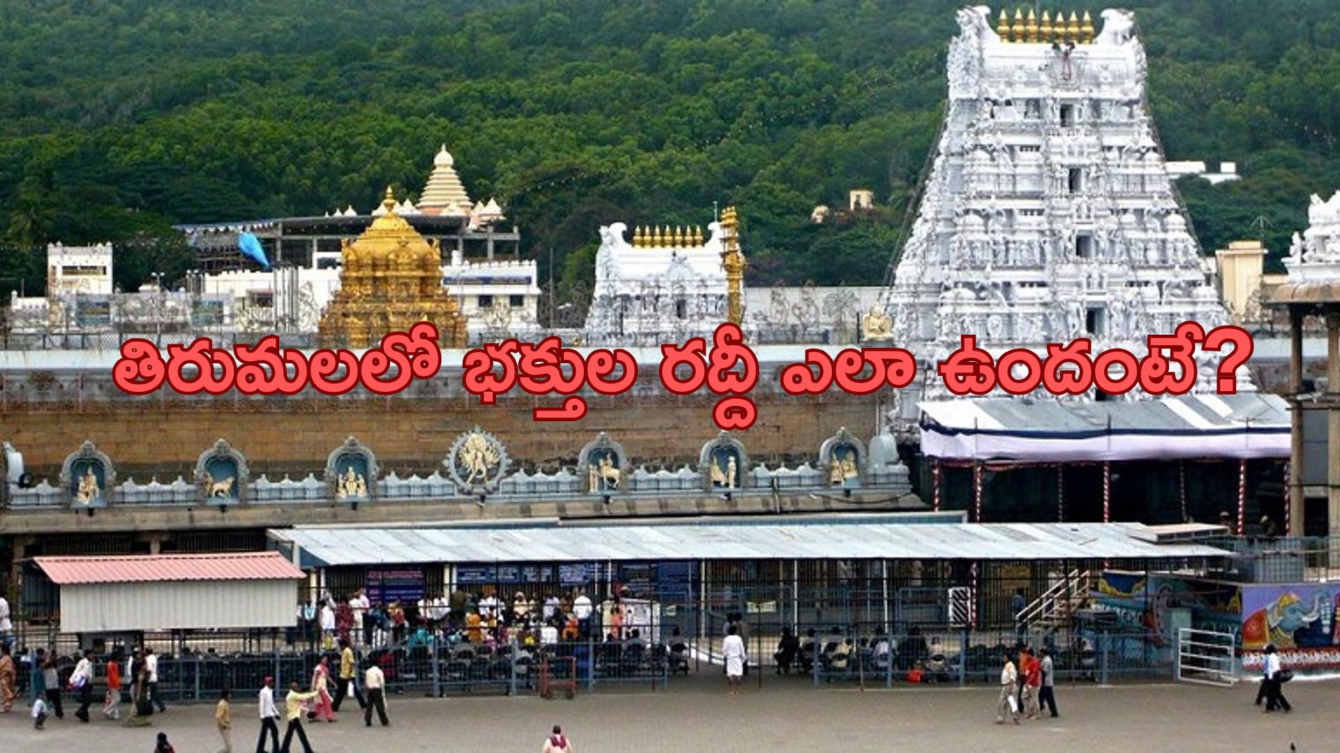 Tirumala: నేడు తిరుమలలో భక్తుల రద్దీ ఎలా ఉందంటే?