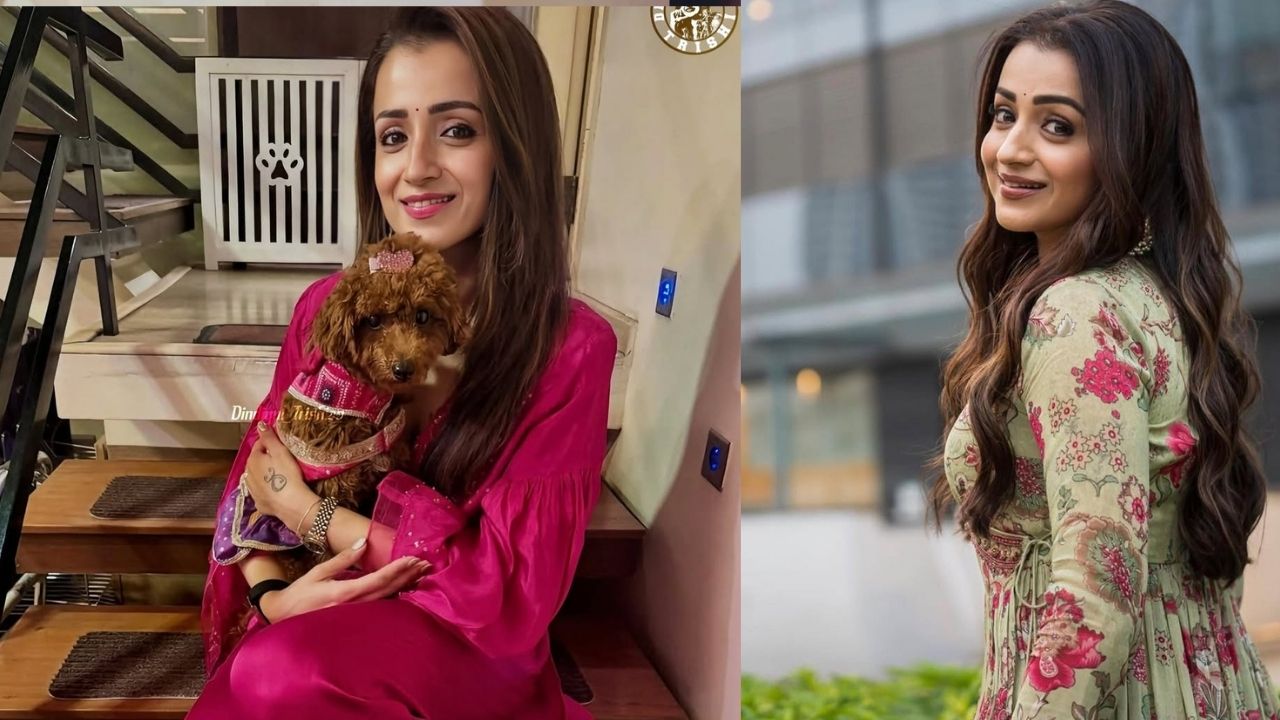 Trisha: ఆ హీరోయిన్ రిజెక్ట్ చేసిన సినిమా బ్లాక్ బస్టర్ హిట్టు కొట్టిన త్రిష