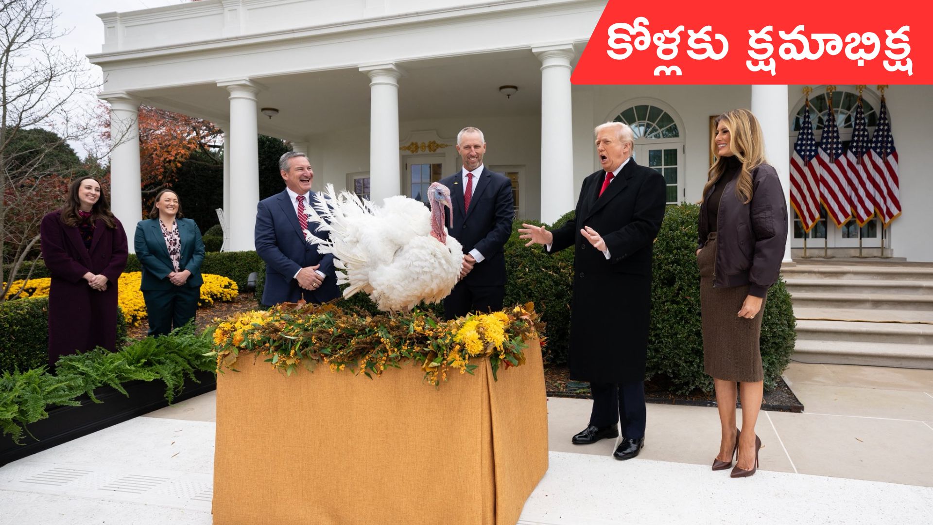 Donald Trump: వైట్‌హౌస్‌లో ఆసక్తికర ఘటన.. రెండు టర్కీ కోళ్లకు క్షమాభిక్ష పెట్టిన ట్రంప్‌
